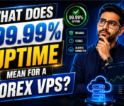 what-does-a-99-uptime-means-for-a-forex-vps.